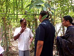 DG & First Lady hearing on - Vanilla Cultivation