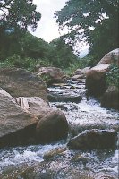 Siruvani waterfalls running through Thondamuthur